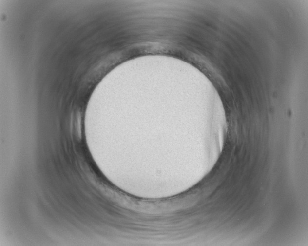 X0000086110022200704202317