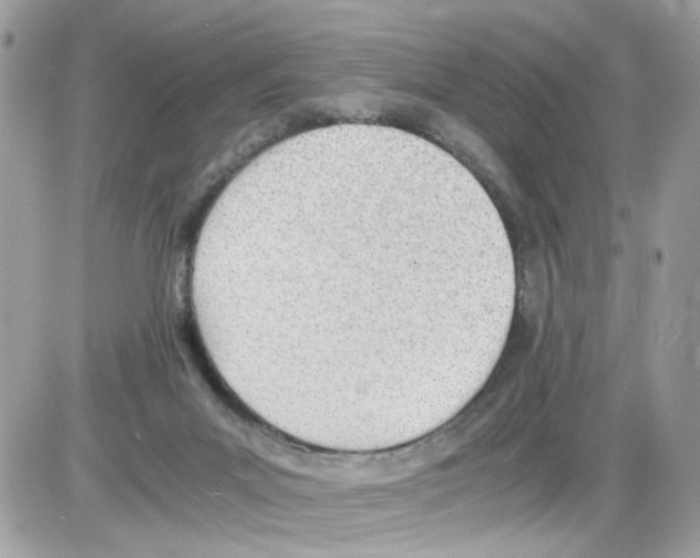 X0000086110023200704202317