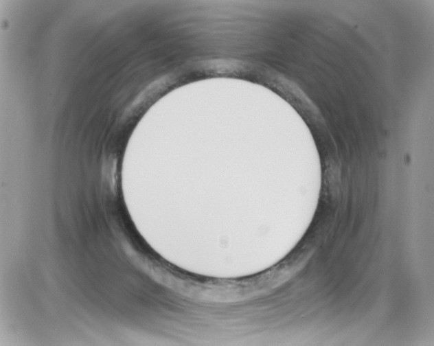 X0000086110024200704202317