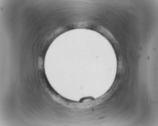 X0000086110025200704202317