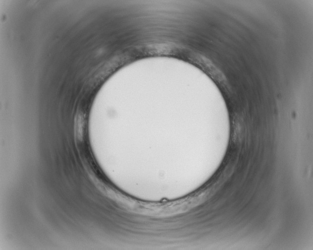 X0000086110026200704202317