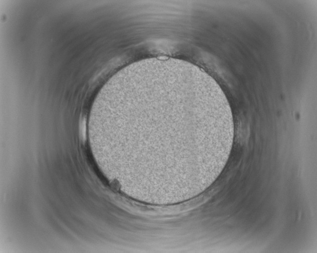 X0000086110027200704202317