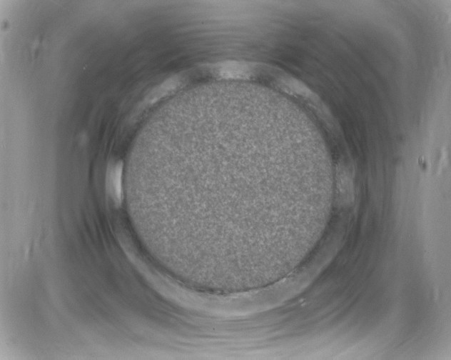 X0000086110028200704202317