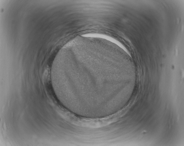 X0000086110029200704202317