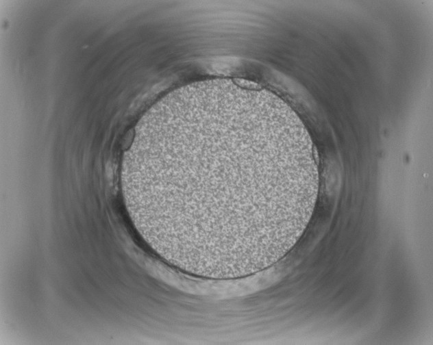 X0000086110031200704202317