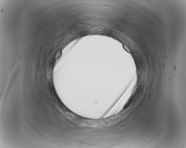 X0000086110033200704202317