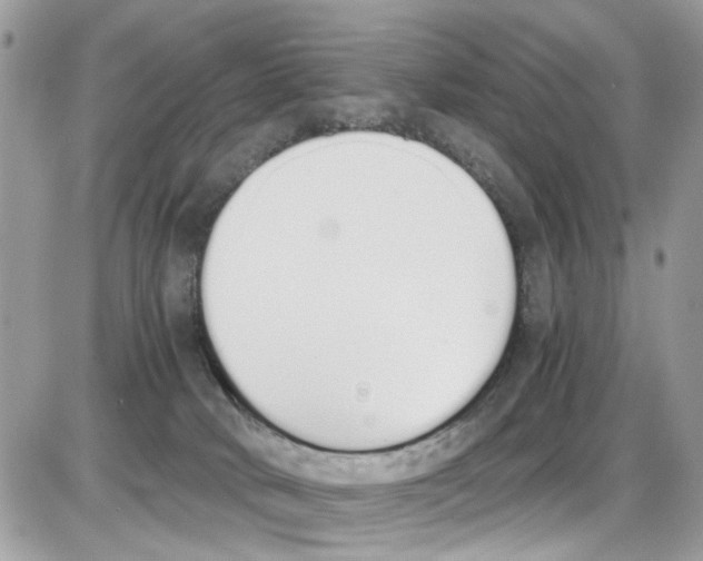 X0000086110034200704202317