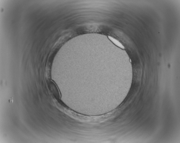 X0000086110035200704202317