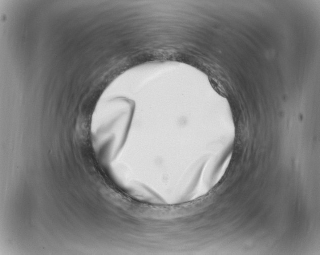 X0000086110037200704202317