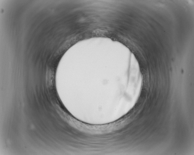 X0000086110038200704202317