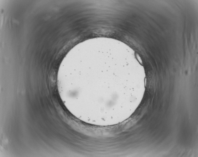 X0000086110040200704202317