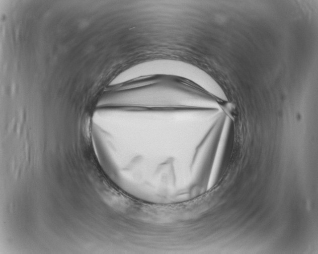 X0000086110041200704202317