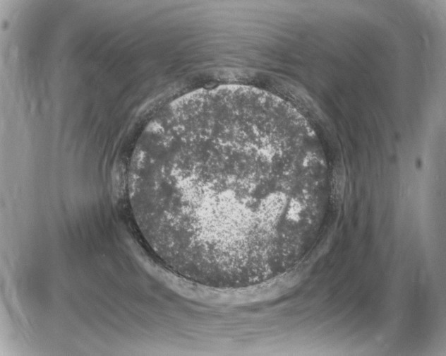 X0000086110043200704202317