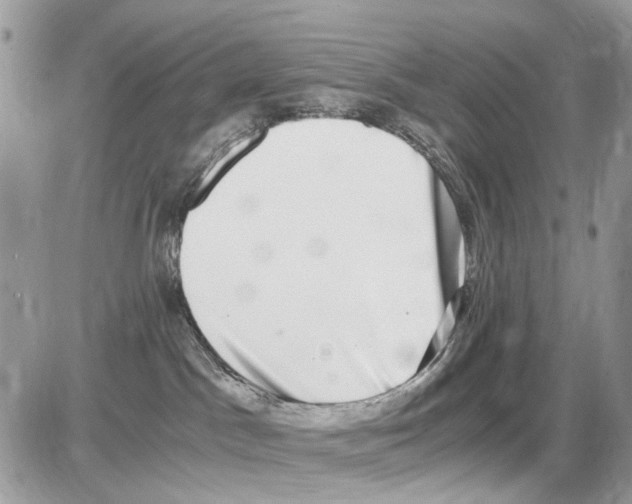 X0000086110045200704202317