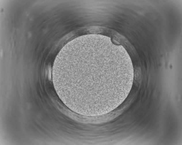 X0000086110046200704202317