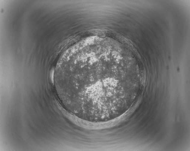 X0000086110047200704202317