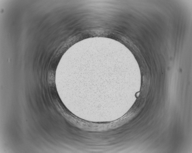 X0000086110048200704202316