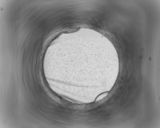 X0000086110049200704202316