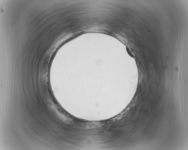 X0000086110050200704202316