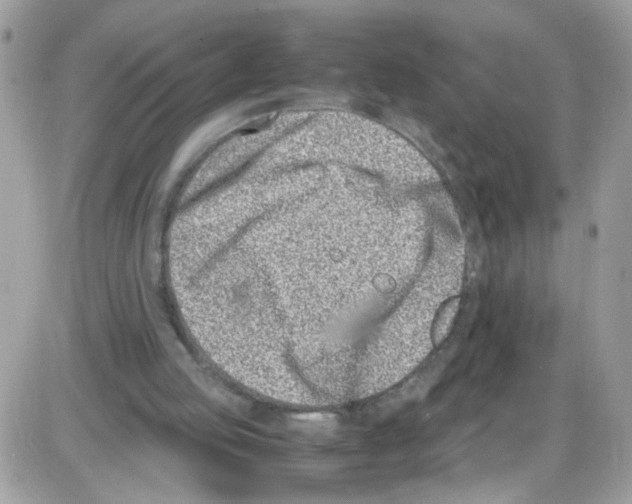 X0000086110053200704202316