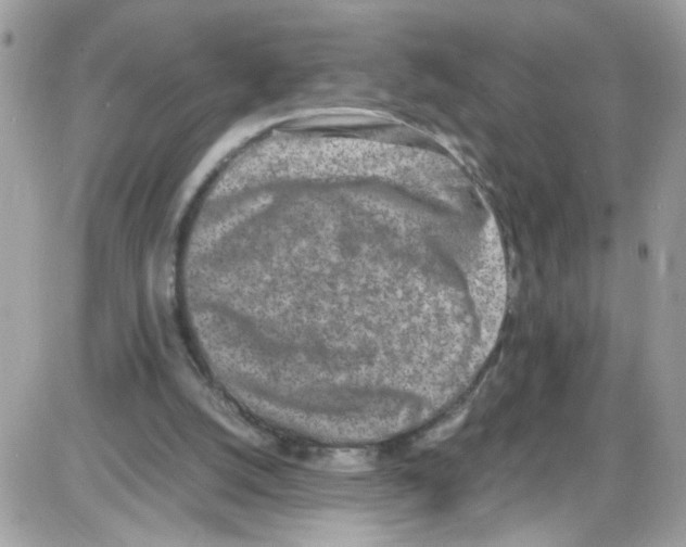 X0000086110056200704202316