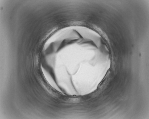 X0000086110057200704202316