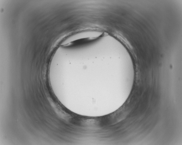 X0000086110058200704202316