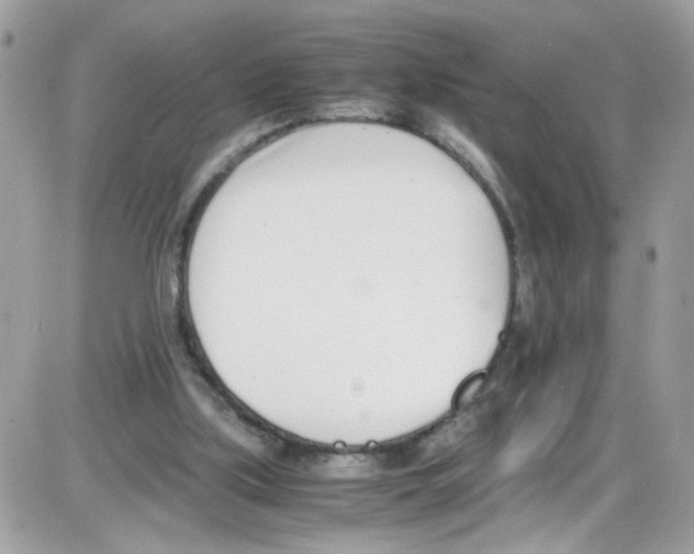 X0000086110059200704202316