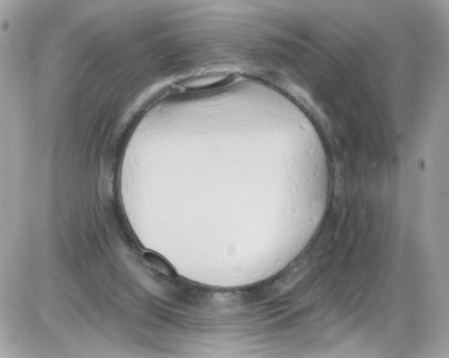 X0000086110060200704202316