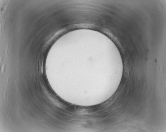 X0000086110062200704202316