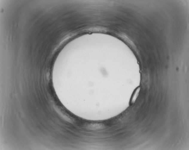 X0000086110063200704202316