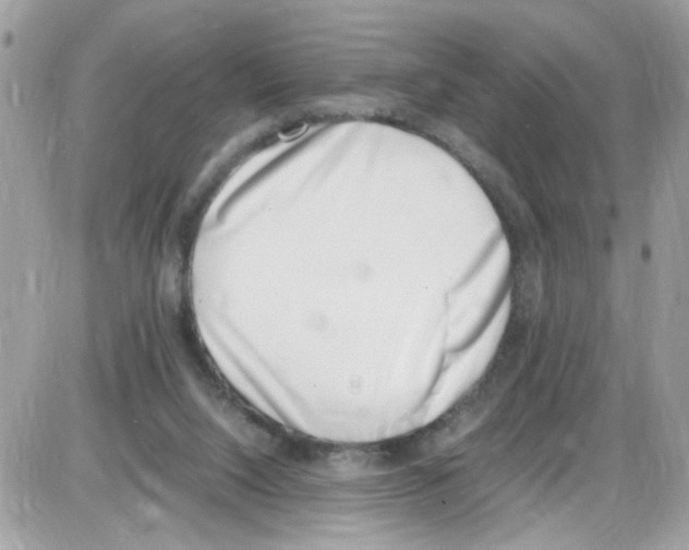 X0000086110064200704202316