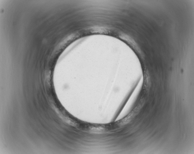 X0000086110066200704202316