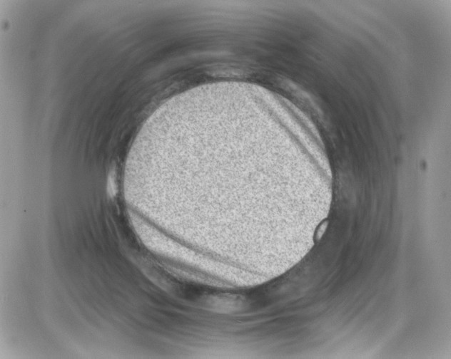 X0000086110069200704202316