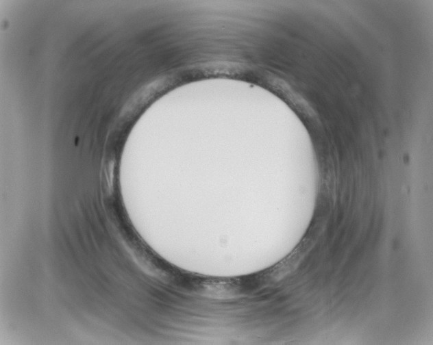 X0000086110070200704202316