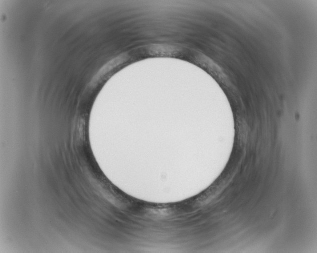 X0000086110071200704202316