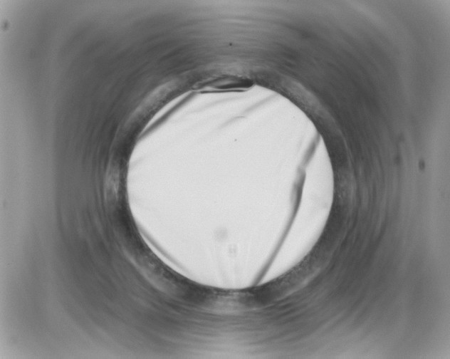 X0000086110072200704202316