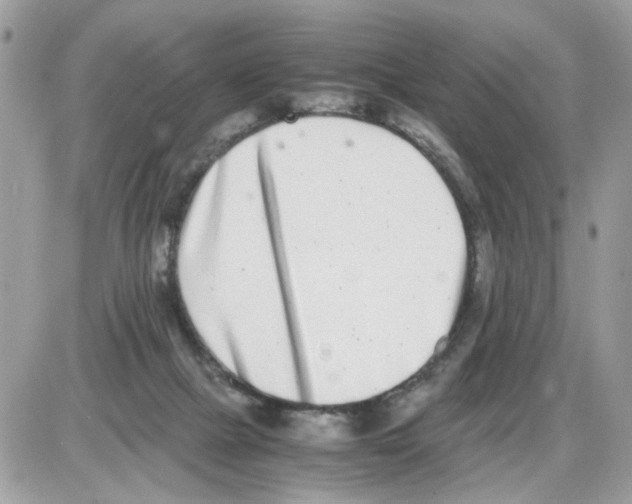 X0000086110073200704202316