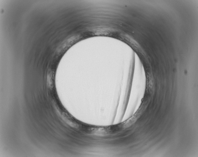 X0000086110074200704202316