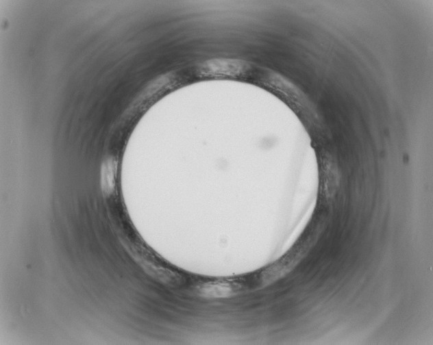 X0000086110075200704202316