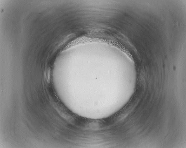 X0000086110076200704202316