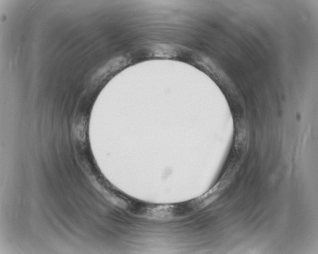 X0000086110078200704202316