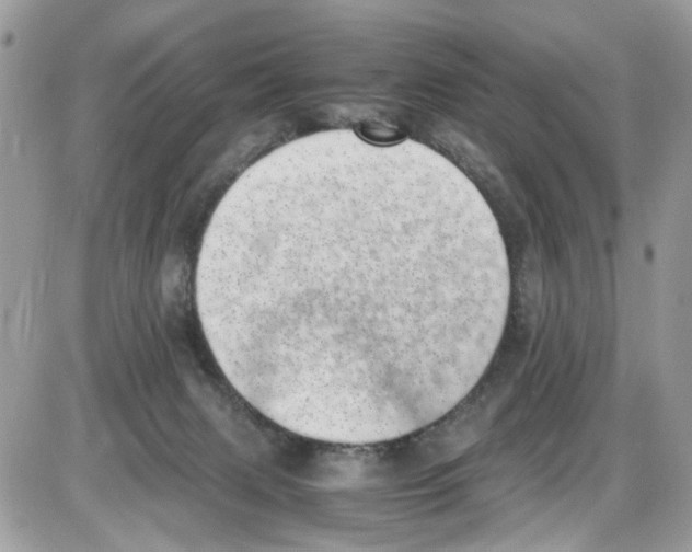 X0000086110079200704202316