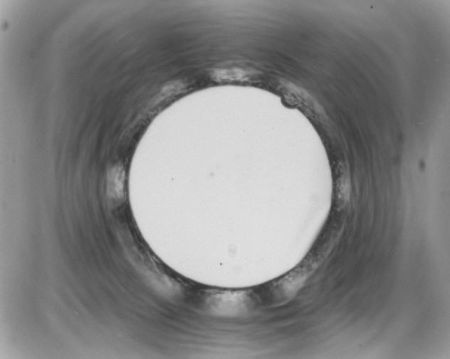 X0000086110081200704202316