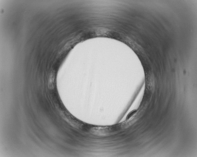 X0000086110082200704202316