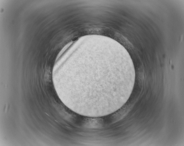 X0000086110083200704202316