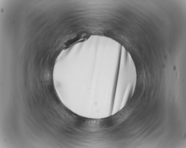 X0000086110084200704202316