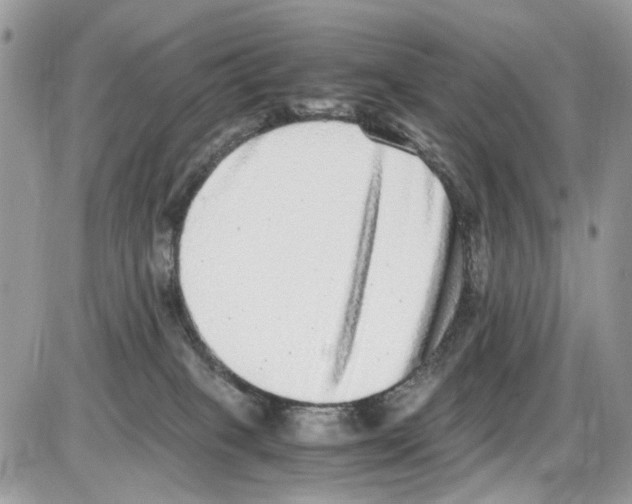 X0000086110085200704202316