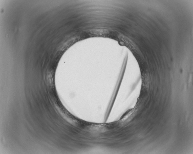 X0000086110086200704202316