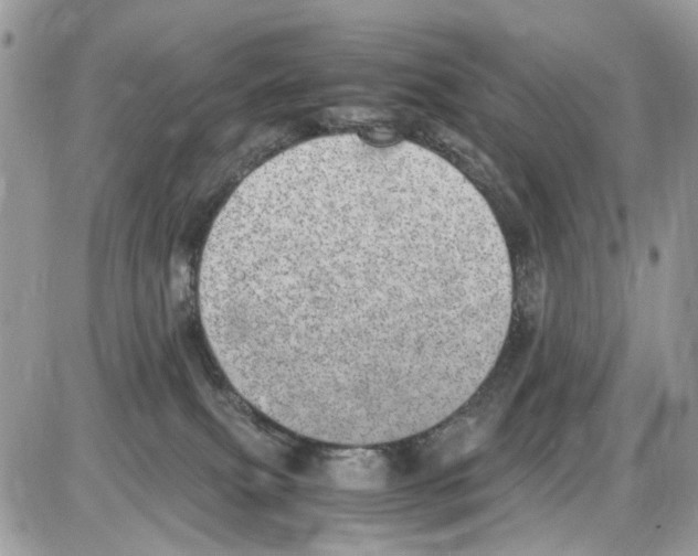 X0000086110087200704202316